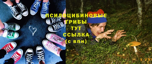 гашик Бугульма
