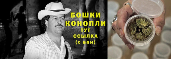 mix Богородицк
