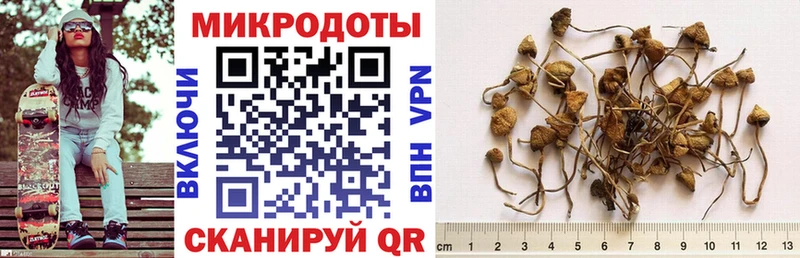 Галлюциногенные грибы Cubensis Лабинск