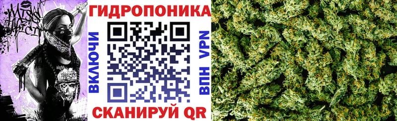 МАРИХУАНА Bruce Banner  Купить закладки  Лабинск 